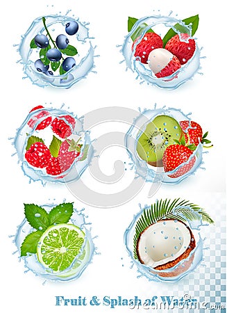 Set of different water splashes with fruit and berries. Blueberry, lychee, Vector Illustration