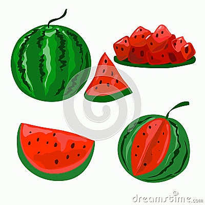 A set of different whole and cut watermelons. Vector Illustration