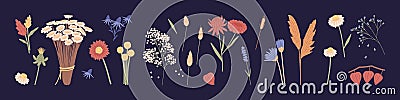 Set of different wild and garden flower plants. Floral bundle of wildflowers. Botanical floristic design elements Vector Illustration