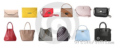 Set of different woman`s bags on background. Banner design Stock Photo
