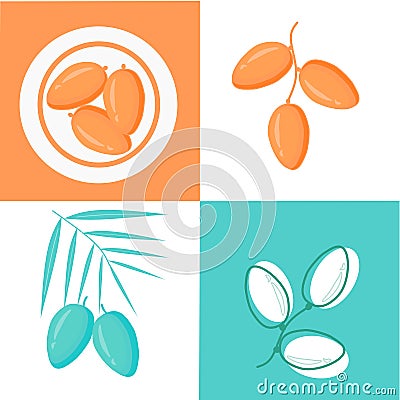 Set of Dish with dates fruit on the green, orange and white background. Ramadan Kareem Iftar food party celebration. Date fruit. S Vector Illustration