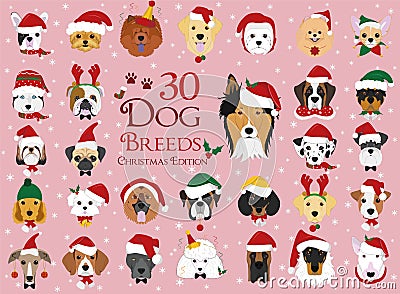 Set of 30 dog breeds with Christmas and winter themes Vector Illustration
