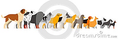 Set of dog breeds standing in a line, side view vector illustration Vector Illustration