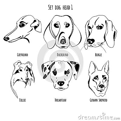 Set dog head Vector Illustration