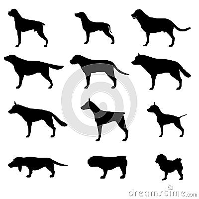 Set of dogs breeds silhouette. Vector on white background. Icons collection for cynology, pet clinic and shop. Vector Illustration