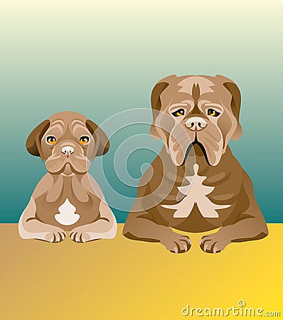 Set of dogs looking forward Vector Illustration