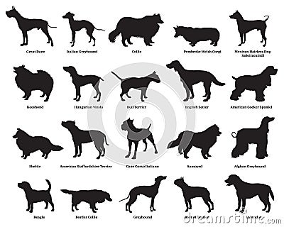 Set of dogs silhouettes-2 Vector Illustration