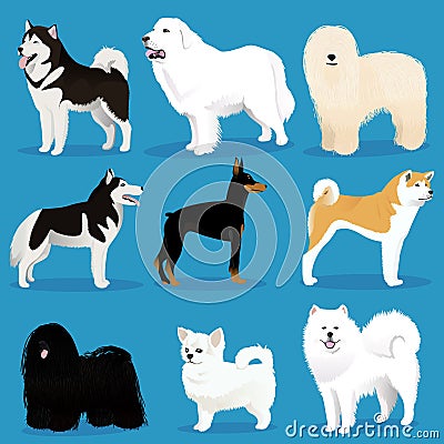 Set of dogs Vector Illustration