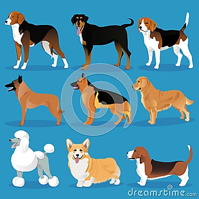 Set of dogs Vector Illustration