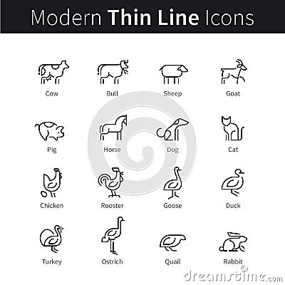 Set of domestic, farm animals and pets Vector Illustration