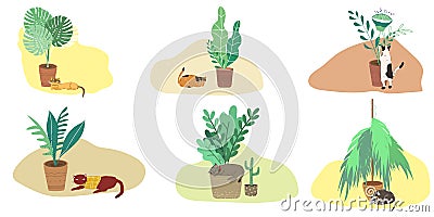 Set of domestic flowers in pots and cats. Vector Illustration