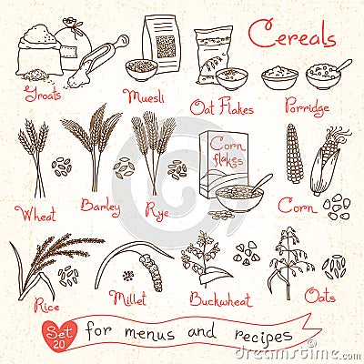 Set drawings of cereals for design menus, recipes and packing. Flakes, groats, porridge, muesli, cornflakes, oat, rye Vector Illustration