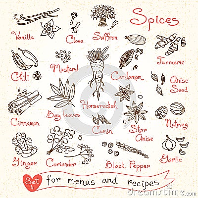 Set drawings of spices for design menus, recipes Vector Illustration