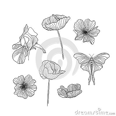 Set of drawn flowers outline Vector Illustration