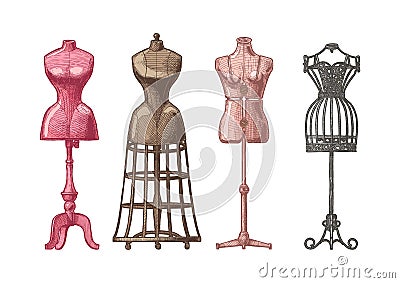Set of dress form Vector Illustration