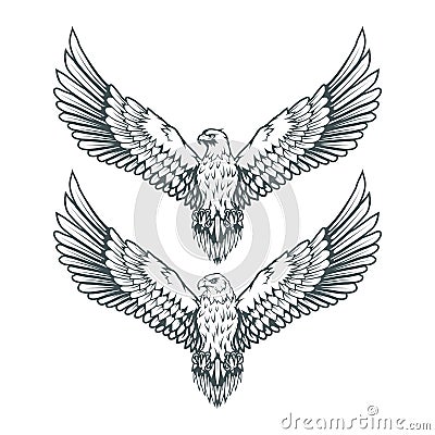 Set of eagles. Bald eagle logo. Wild birds drawing. Head of an eagle. Vector Illustration