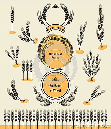 Set Ears Wheat and frames Vector Illustration