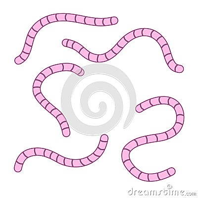 Set of earthworms. Cartoon flat illustration. Vector Illustration