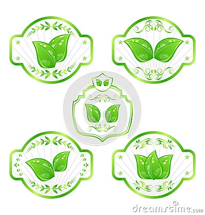Set ecological labels with leaves isolated Vector Illustration