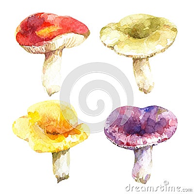 Set of edible russula species - red, yellow, purple and green mushrooms isolated on white background. Cartoon Illustration