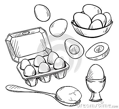 Set of eggs drawings Vector Illustration