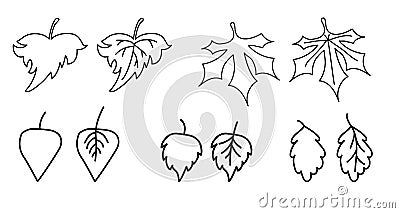 Set of elements of the autumn season. Black line drawings of various leaves. Leaves-outline and leaves with veins. Use Vector Illustration