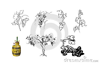 Set of elements for grape theme Vector Illustration