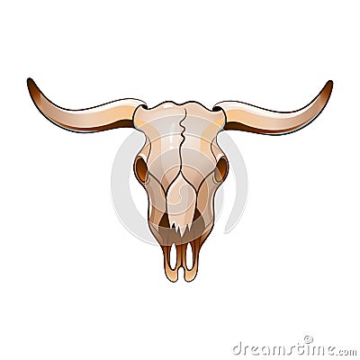 Set of elements of the Wild West. The equipment of cowboys. Cow skull. Vector Illustration