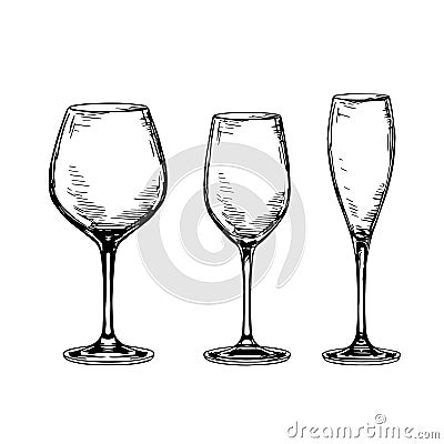 Set of empty wine glasses. Vector Illustration