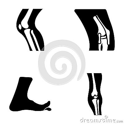 Human Bones Solid Vectors Set Stock Photo