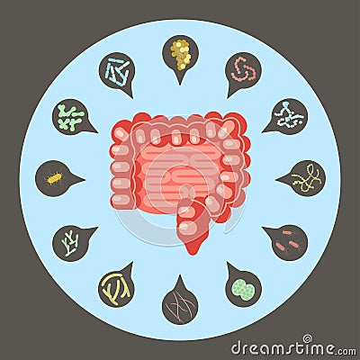 Set of enteric bacteria Vector Illustration