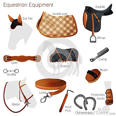 Set of equestrian equipment. Vector. Vector Illustration