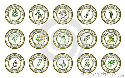 Set of essential oil labels Vector Illustration