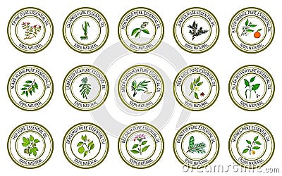 Set of essential oil labels Vector Illustration