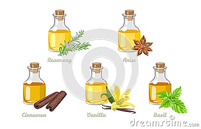 Set of essential oils in glass bottles. Vector rosemary, anise, cinnamon, vanilla, basil. Vector Illustration