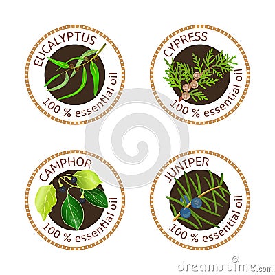 Set of essential oils labels. Eucalyptus, cypress, camphor tree, juniper Cartoon Illustration