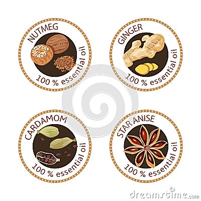 Set of essential oils labels. Nutmeg, ginger, cardamom, star anise Cartoon Illustration