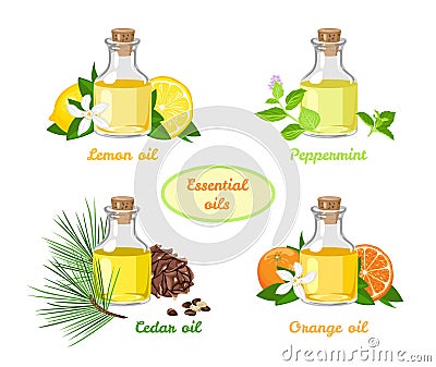 Set of essential oils. Lemon, Mint, Orange, Cedar aromatic oil in glass bottles Vector Illustration