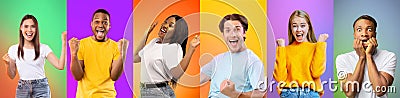 Set of excited multiracial young men and women celebrating success on gradient studio backgrounds, panorama Stock Photo