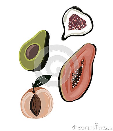 Set of exotic fruit halves. Illustration of peach, papaya, avocado, figs Cartoon Illustration