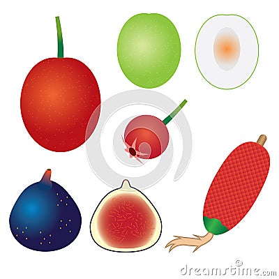 Set of exotic fruits. Vector Illustration