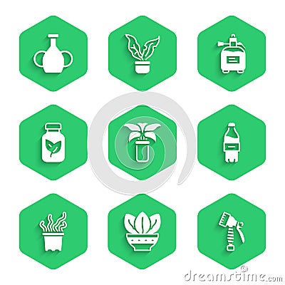 Set Exotic tropical plant in pot, Plant, Water spray bottle, Bottle of water, Fertilizer, Garden sprayer for fertilizer Stock Photo