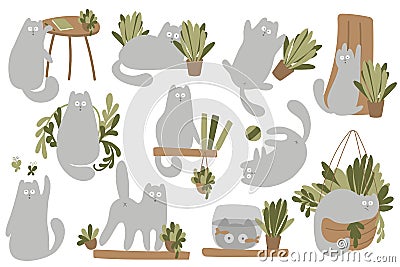 Set of fanny cats characters and plants. Vector character cute kitten. Cozy home with plants and gray cat. Cartoon Animals Vector Illustration