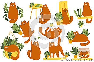 Set of fanny cats characters and plants. Vector character cute kitten. Cozy home with plants and red cat. Cartoon Animals Vector Illustration