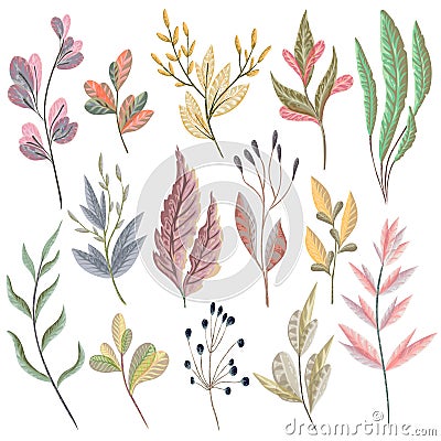 Set with fantasy plants and leaves. Decorative floral design elements Vector Illustration