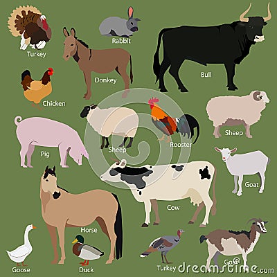 Set of farm animals icons. Flat style design Vector Illustration