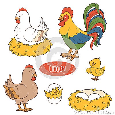 Set of farm animals and objects, vector family chicken Vector Illustration