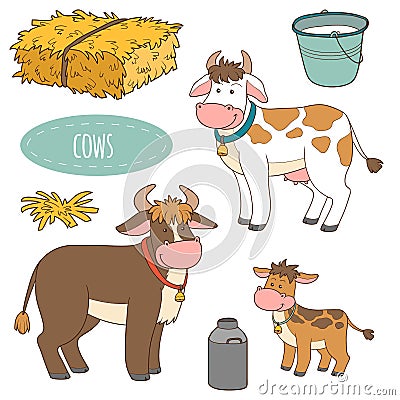 Set of farm animals and objects, vector family cows Vector Illustration