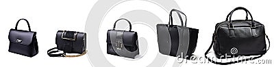 Set of fashion woman bags Stock Photo