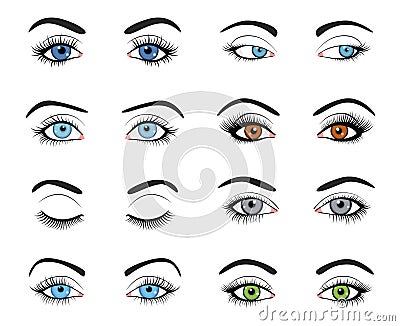 Set of female eyes and brows image Vector Illustration